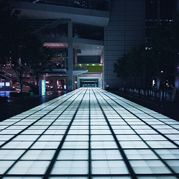 Bioróżnorodność i ochrona siedlisk przy inwestycjach budowlanych